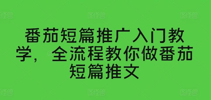 番茄短篇推广入门教学，全流程教你做番茄短篇推文-随风资源网