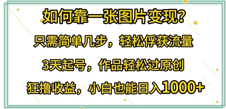 如何靠一张图片变现?只需简单几步，轻松俘获流量，3天起号，作品轻松过原创【揭秘】-随风资源网