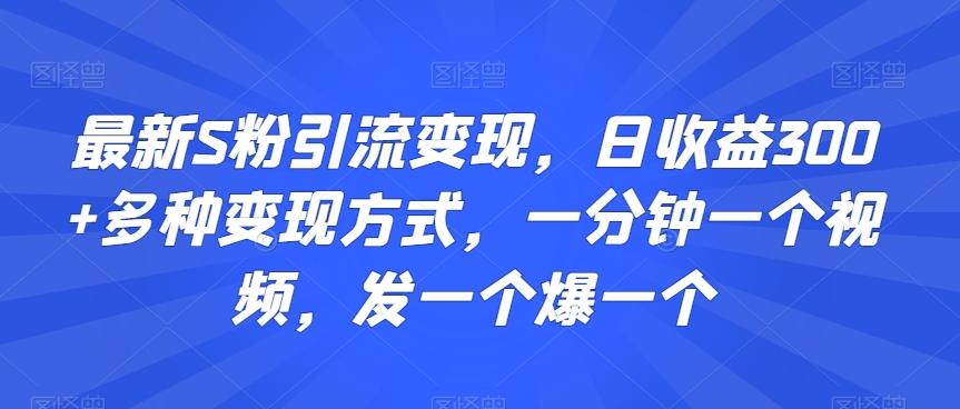 最新S粉引流变现，日收益300+多种变现方式，一分钟一个视频，发一个爆一个【揭秘】-随风资源网