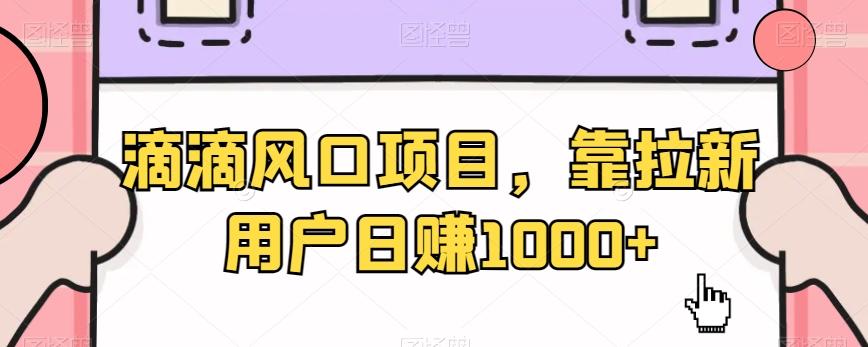 滴滴风口项目，靠拉新用户日赚1000+-随风资源网