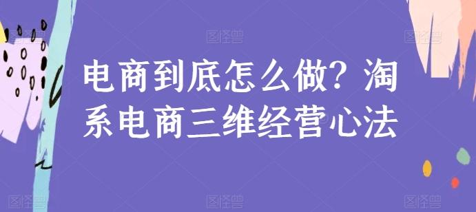 电商到底怎么做？淘系电商三维经营心法-随风资源网