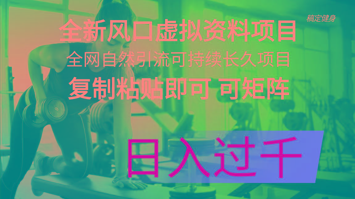全新风口虚拟资料项目 全网自然引流可持续长久项目 复制粘贴即可可矩阵…-随风资源网