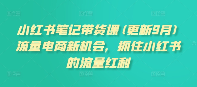 小红书笔记带货课(更新25年3月)流量电商新机会，抓住小红书的流量红利-随风资源网