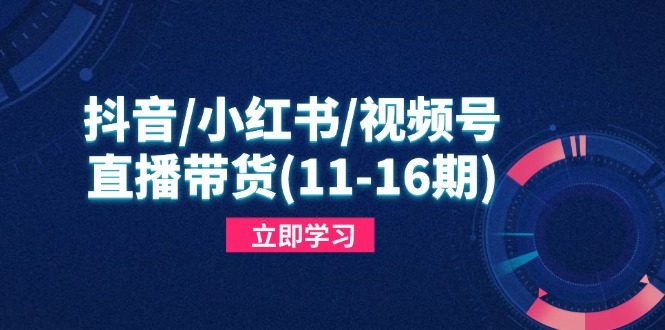 抖音/小红书/视频号/直播带货(11-16期-随风资源网