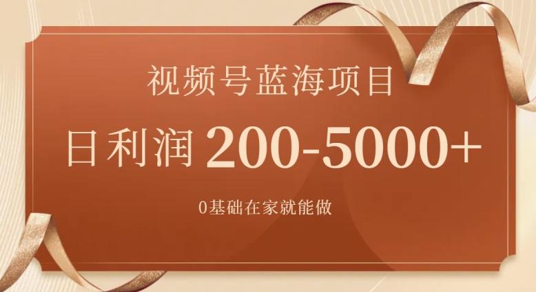 外边收费699视频号项目，最新玩法，简单好操作，一人可做，日四位数-随风资源网