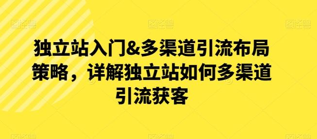 独立站入门&多渠道引流布局策略，详解独立站如何多渠道引流获客-随风资源网