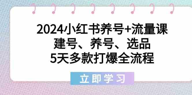 2024小红书养号+流量课：建号、养号、选品，5天多款打爆全流程-随风资源网
