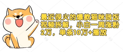 最近很火的爆款猫咪做饭视频拆解，小白一周涨粉2万，单条10万+播放(附保姆级教程)-随风资源网