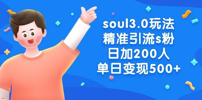 soul3.0玩法精准引流s粉，日加200人单日变现500+-随风资源网