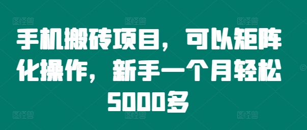 手机搬砖项目，可以矩阵化操作，新手一个月轻松5000多-随风资源网
