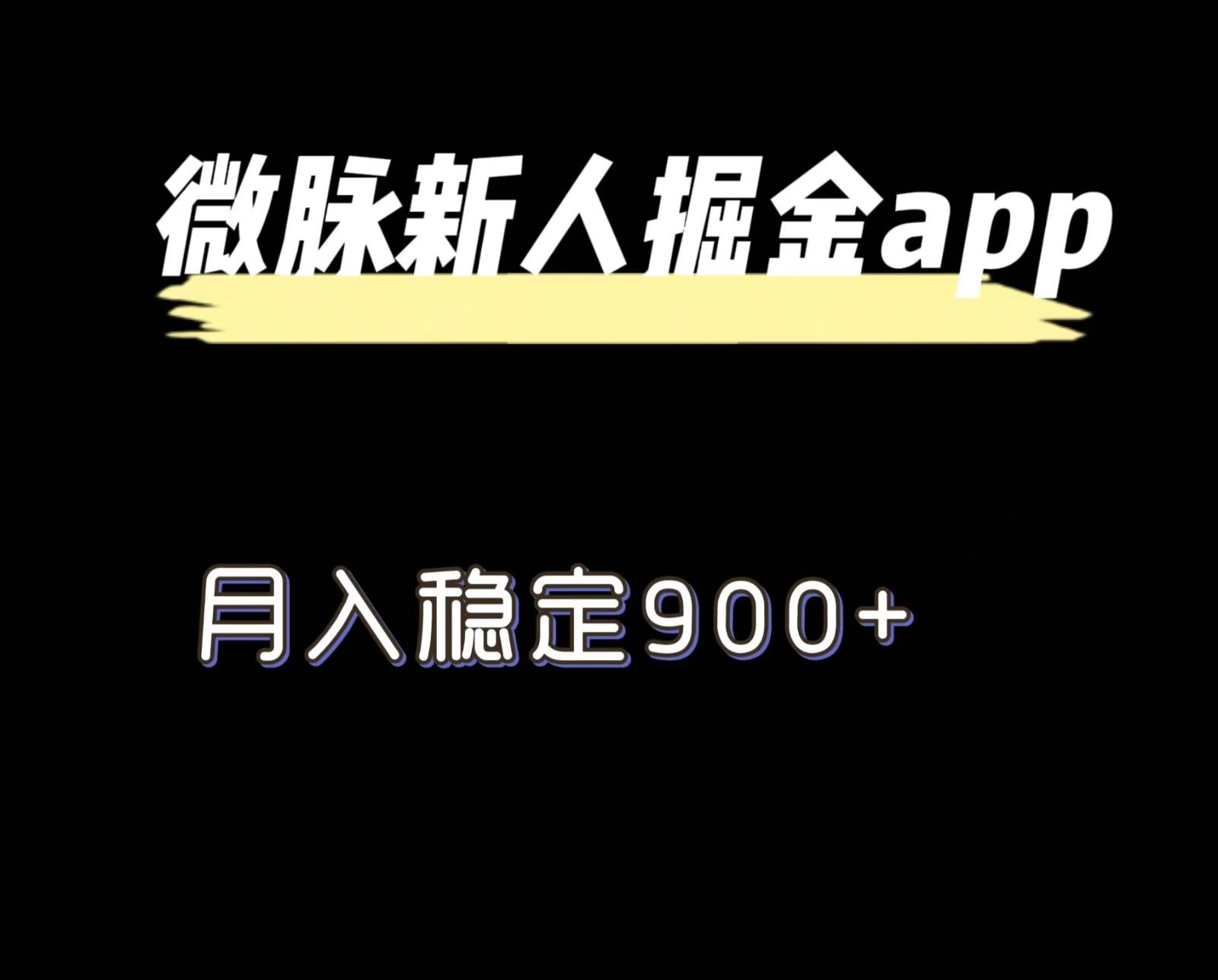 最新微脉长久项目，拉新掘金，月入稳定900+-随风资源网