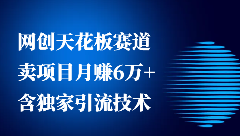 网创天花板赛道，卖项目月赚6万+，含独家引流技术(共26节课)-随风资源网