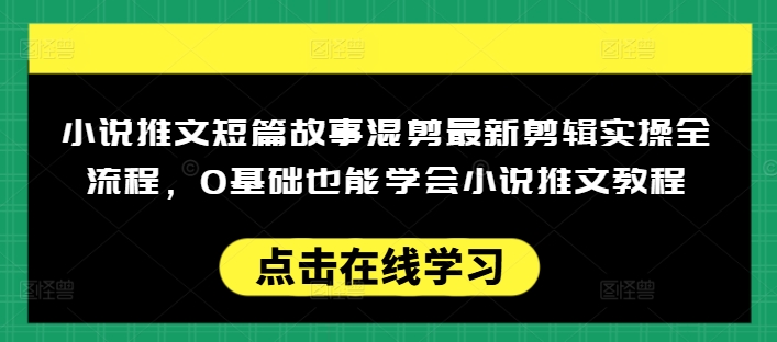 小说推文短篇故事混剪最新剪辑实操全流程，0基础也能学会小说推文教程，肯干多发日入多张-随风资源网