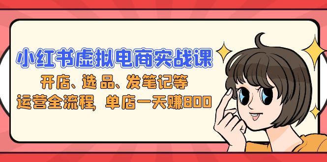 小红书虚拟电商实战课：开店、选品、发笔记等运营全流程，单店一天赚800-随风资源网