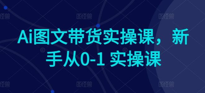Ai图文带货实操课，新手从0-1 实操课-随风资源网