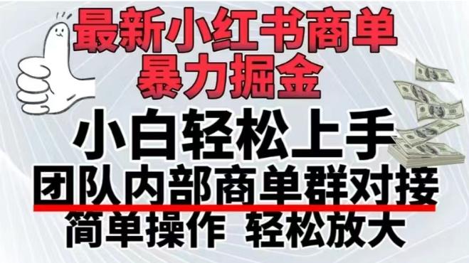 最新小红书商单，暴力掘金，单月稳定变现3W+-随风资源网