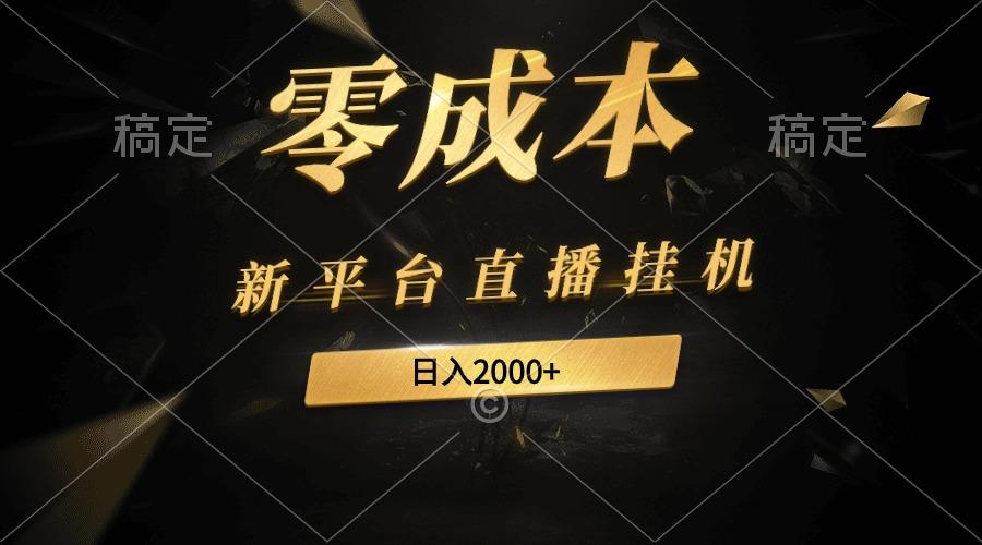 (9841期)新平台直播挂机最新玩法，0成本，不违规，日入2000+-随风资源网