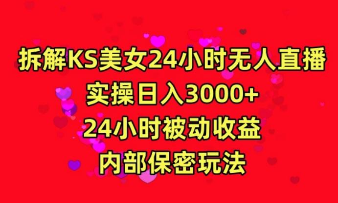 利用快手24小时无人美女直播，实操日入3000，24小时被动收益，内部保密玩法【揭秘】-随风资源网