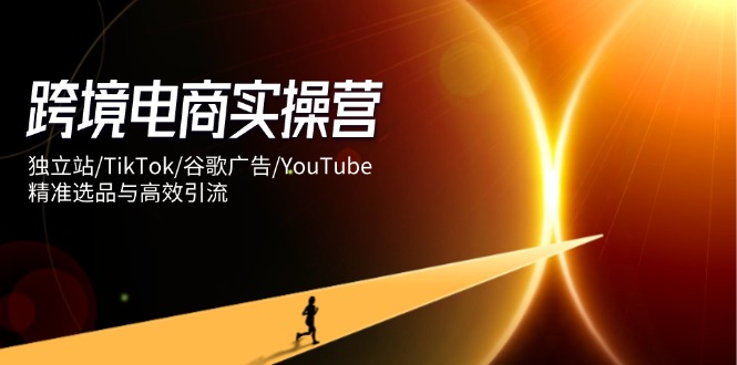 跨境电商实操营：独立站/TikTok/谷歌广告/YouTube，精准选品与高效引流-随风资源网