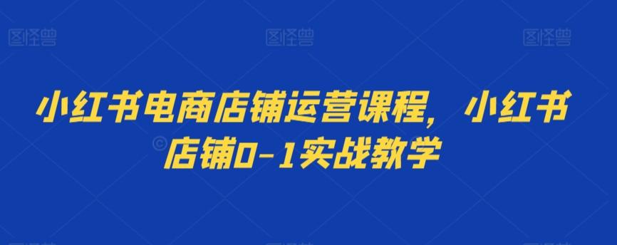 小红书电商店铺运营课程，小红书店铺0-1实战教学-随风资源网