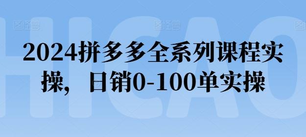 2024拼多多全系列课程实操，日销0-100单实操【必看】-随风资源网