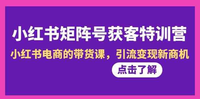 小红书矩阵号获客特训营-第10期，小红书电商的带货课，引流变现新商机-随风资源网