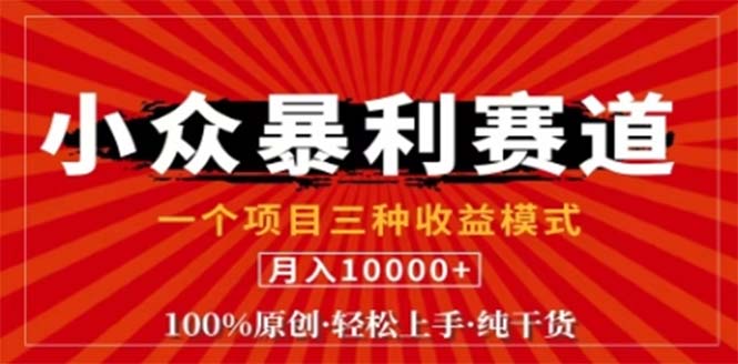 视频号最新爆火赛道，三种可收益模式，0粉新号条条原创条条热门 日入1000+-随风资源网