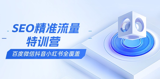 SEO精准流量特训营，百度微信抖音小红书全覆盖，带你搞懂搜索优化核心技巧-随风资源网