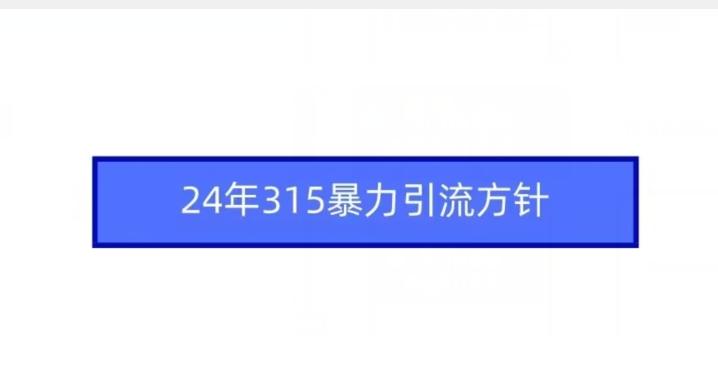 24年315暴力引流方针-随风资源网