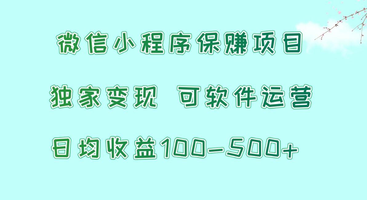 微信小程序保赚项目，日均收益100~500+，独家变现，可软件运营-随风资源网