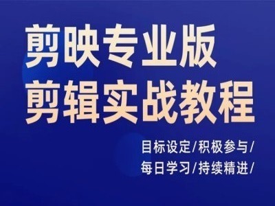 剪映专业版剪辑实战教程，目标设定/积极参与/每日学习/持续精进-随风资源网