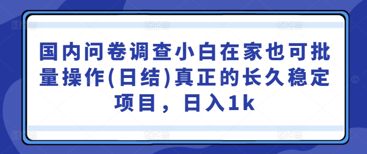 国内问卷调查小白在家也可批量操作(日结)真正的长久稳定项目，日入1k【揭秘】-随风资源网