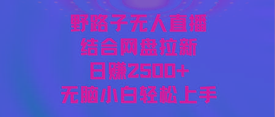 无人直播野路子结合网盘拉新，日赚2500+多平台变现，小白无脑轻松上手操作-随风资源网