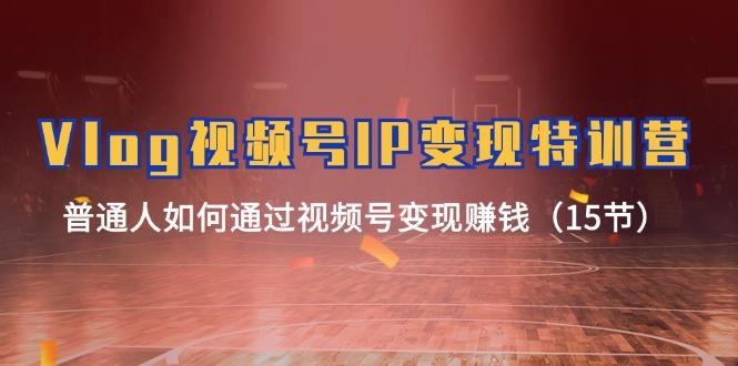 Vlog 视频号IP变现特训营，普通人如何通过视频号变现赚钱(15节-随风资源网