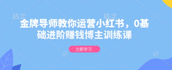 金牌导师教你运营小红书，0基础进阶赚钱博主训练课-随风资源网