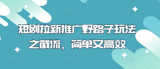 短剧拉新推广野路子玩法之截流，简单又高效-随风资源网