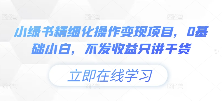 小绿书精细化操作变现项目，0基础小白，不发收益只讲干货-随风资源网