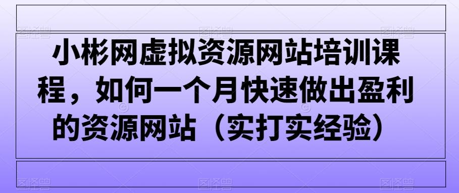 小彬网虚拟资源网站培训课程，如何一个月快速做出盈利的资源网站(实打实经验)-随风资源网