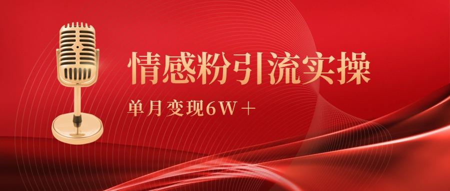(9473期)单月变现6w+，情感粉引流变现实操课-随风资源网