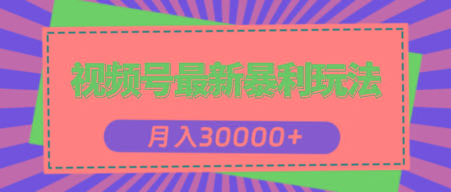 视频号最新暴利玩法，轻松月入30000+-随风资源网