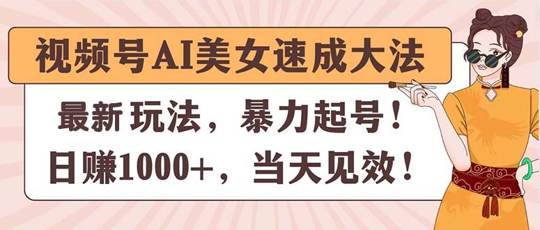 视频号AI美女速成大法，暴力起号，日赚1000+，当天见效-随风资源网