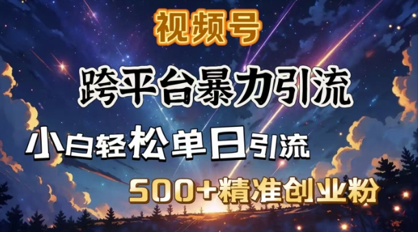 跨平台暴力引流，私域完美闭环，日引500+精准创业粉-随风资源网