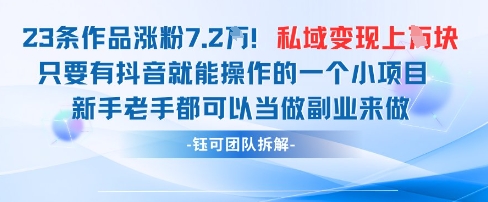 抖音私域项目23条作品涨粉7.2W，私域变现1W-随风资源网