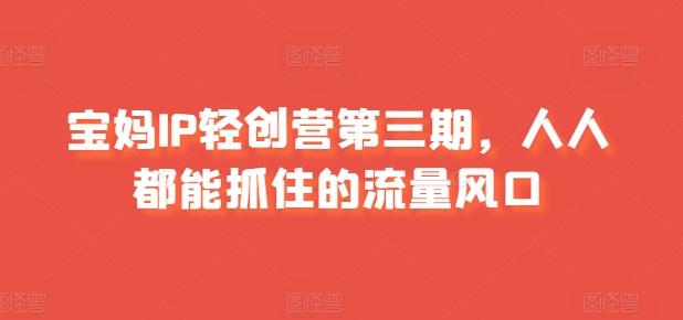 宝妈IP轻创营第三期，人人都能抓住的流量风口-随风资源网