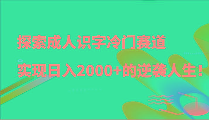 探索成人识字冷门赛道，实现日入2000+的逆袭人生！-随风资源网