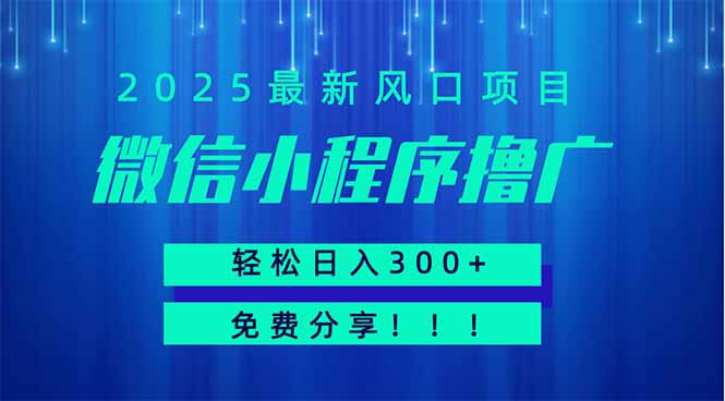 微信小程序撸广，最新风口项目，日入300+ 免费分享 可批量操作 小白可…-随风资源网