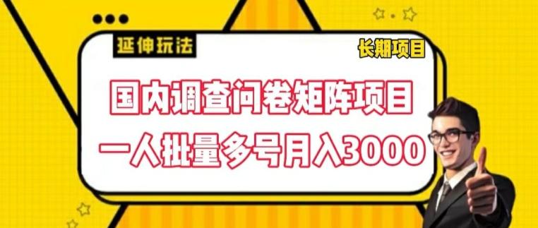 国内调查问卷矩阵项目，一人批量多号月入3000【揭秘】-随风资源网