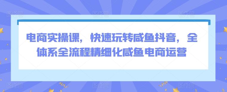 电商实操课，快速玩转咸鱼抖音，全体系全流程精细化咸鱼电商运营-随风资源网