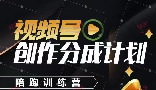 视频号创作分成计划陪跑训练营，手把手教会你如何制作视频，细水长流型项目-随风资源网