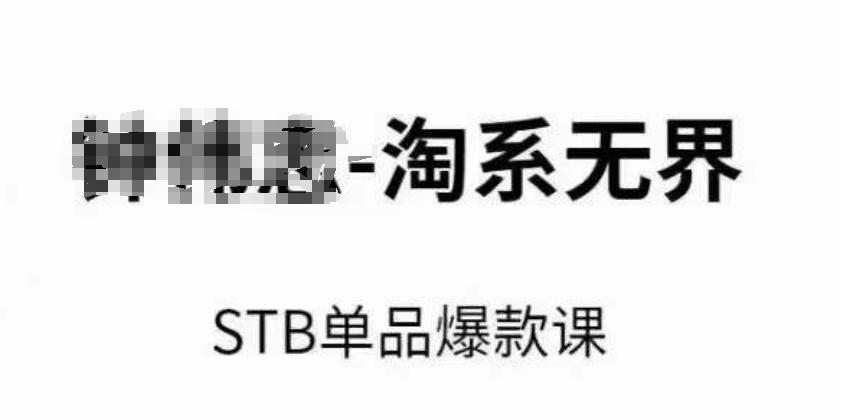 淘系无界STB单品爆款课(2024)，付费带动免费的核心逻辑，万相台无界关键词推广/精准人群的核心-随风资源网